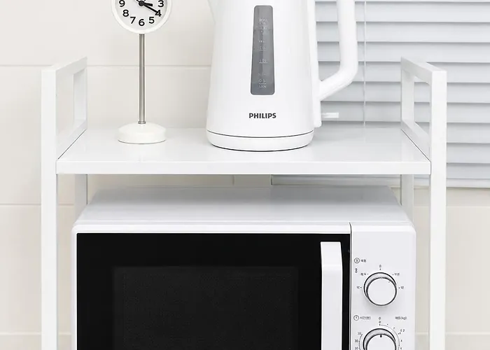 Anoc 首爾